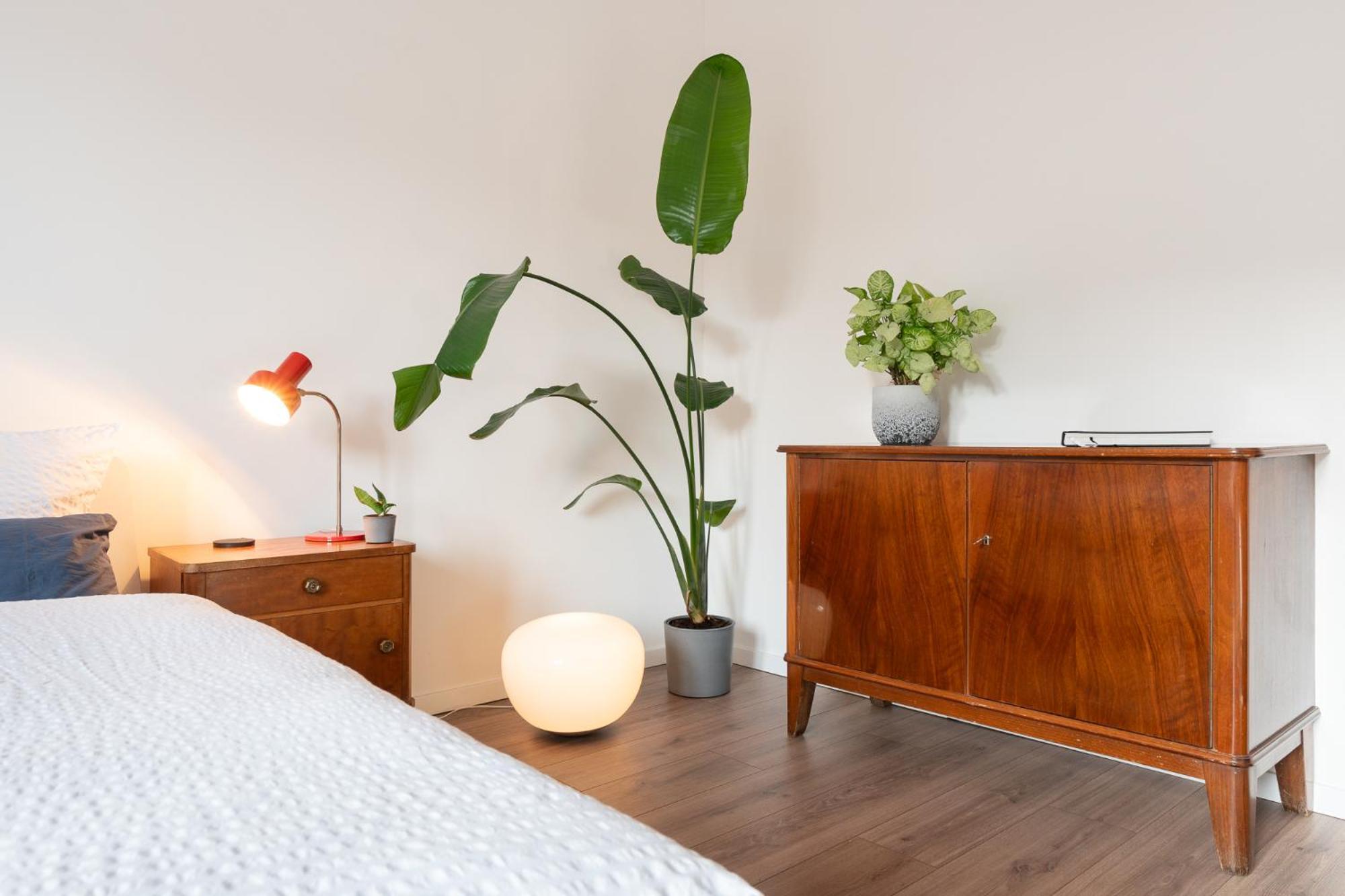 Luxurioeses Apartment, 10Min Innenstadt, Parkplatz Ерфурт Екстер'єр фото